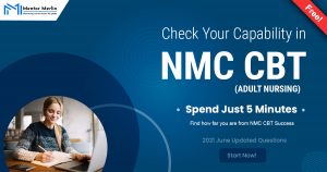 Mentor Merlin - NMC CBT Capability Checker